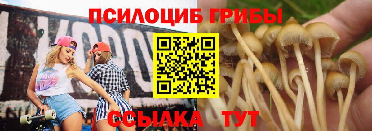Мурино  Псилоцибиновые грибы Psilocybe  Вход с VPN 