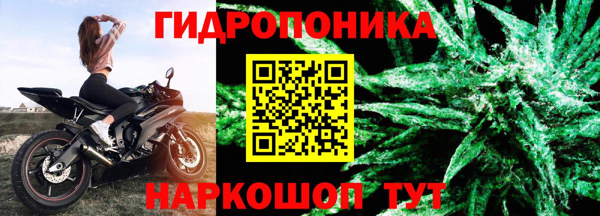 Мурино  Канабис индика  Канабис сатива  Вход с VPN  Бошки марихуана AK-47 